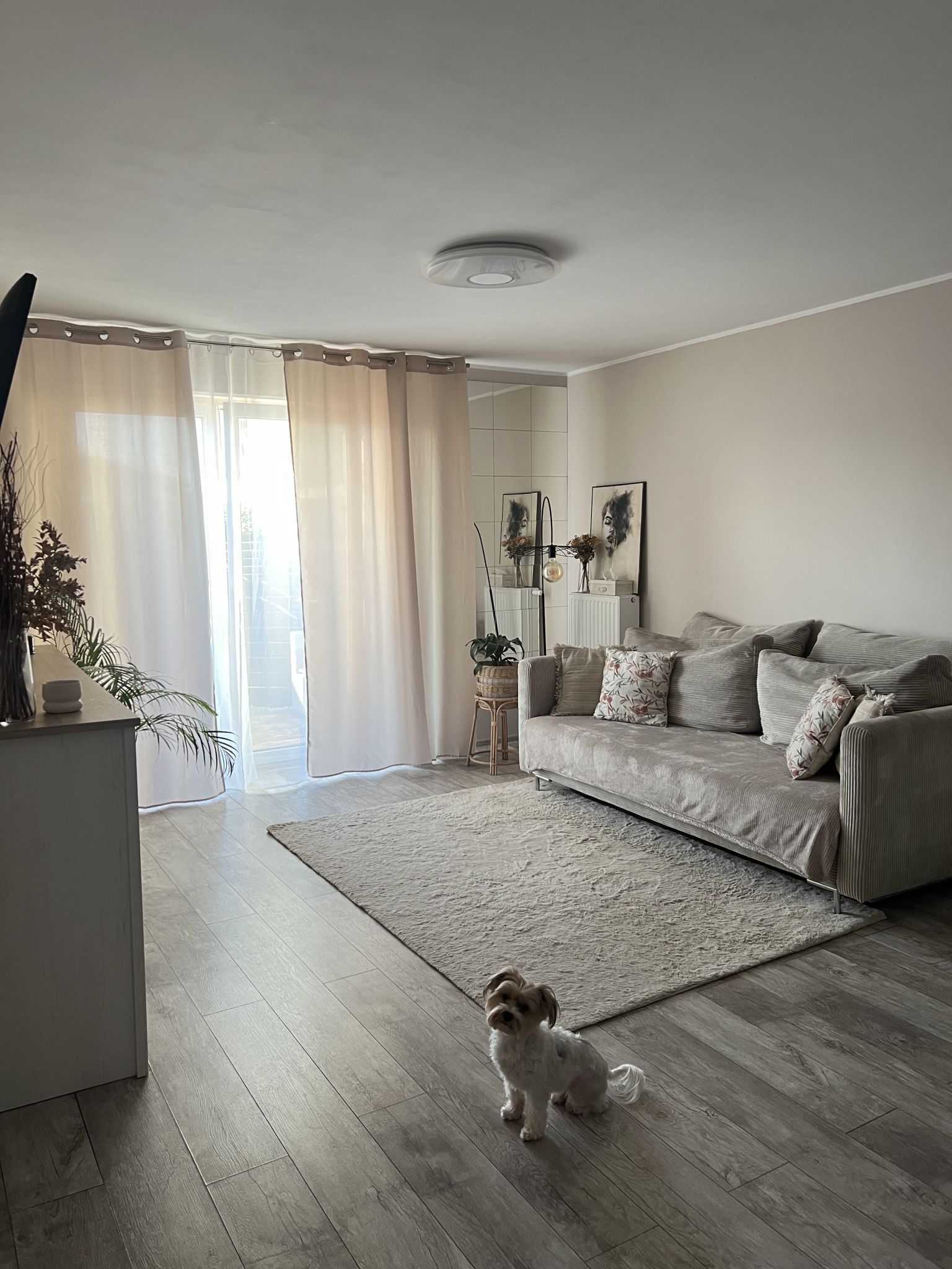 Mieszkanie Wieliszew