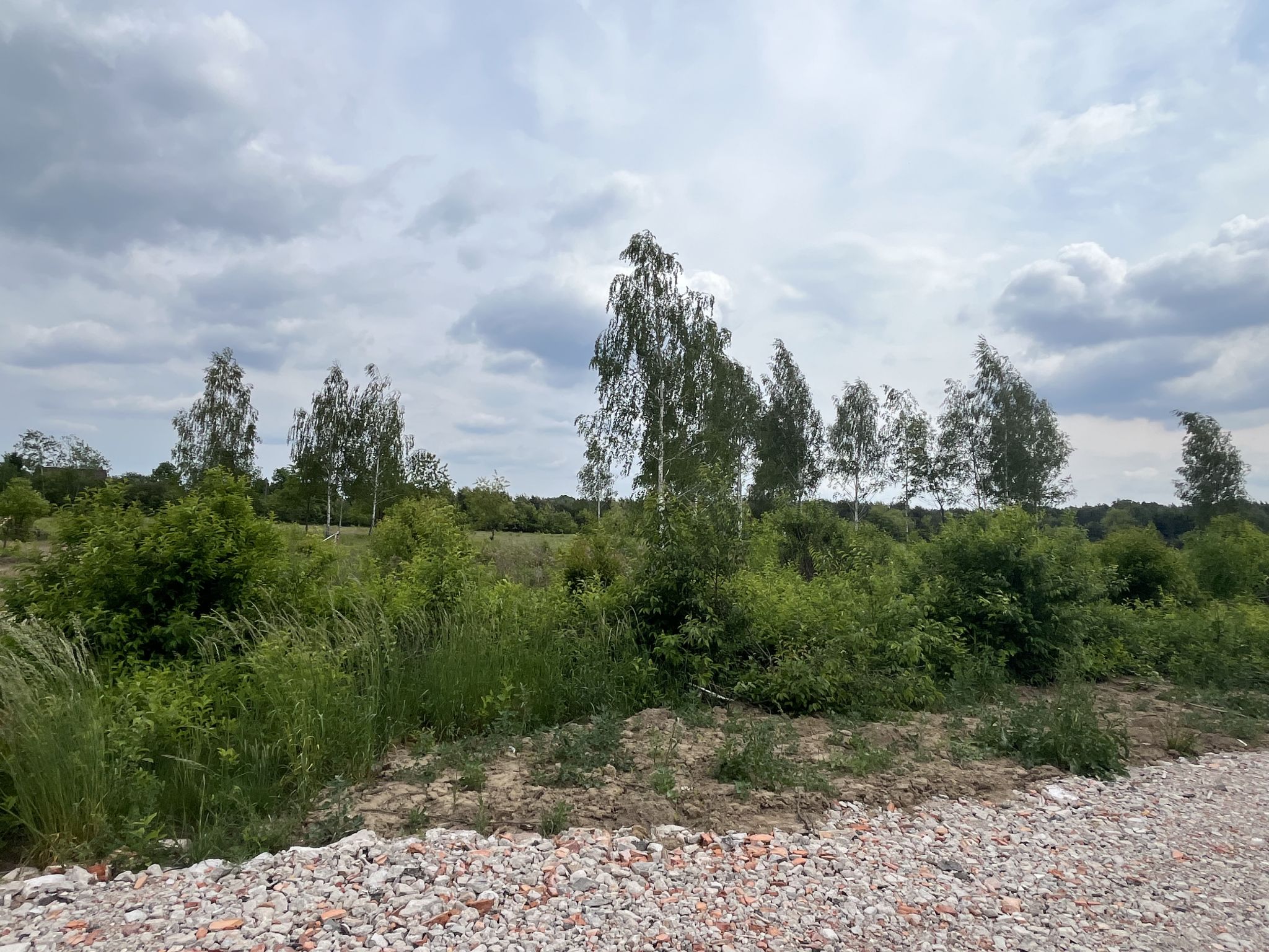 Działka Wieliszew